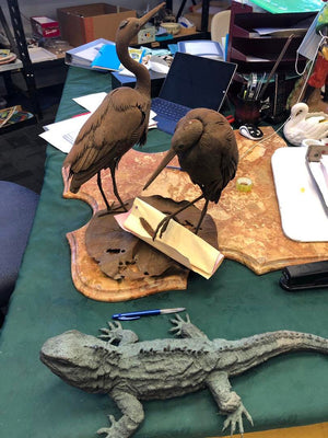 We Repair Water Damaged Items