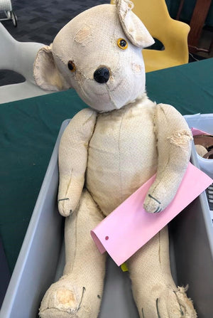 We Fix Mohair Teddy's
