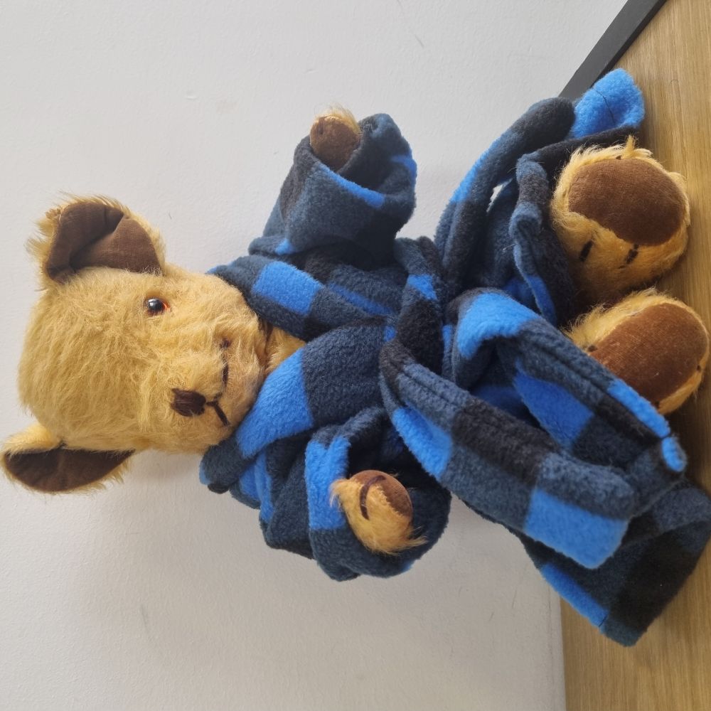 Teddy Bear Dressing Gowns – W R I G H T W A Y STUDIOS & Auckland Doll's  Hospital